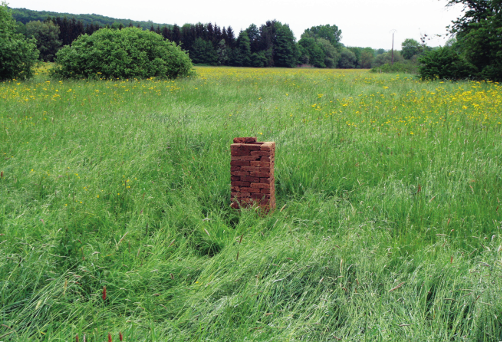 Microbiologie des ruines, abandon de la 1re tour, Diedendorf (bordure de Sarre), 2018. Photo : Camilla Cason