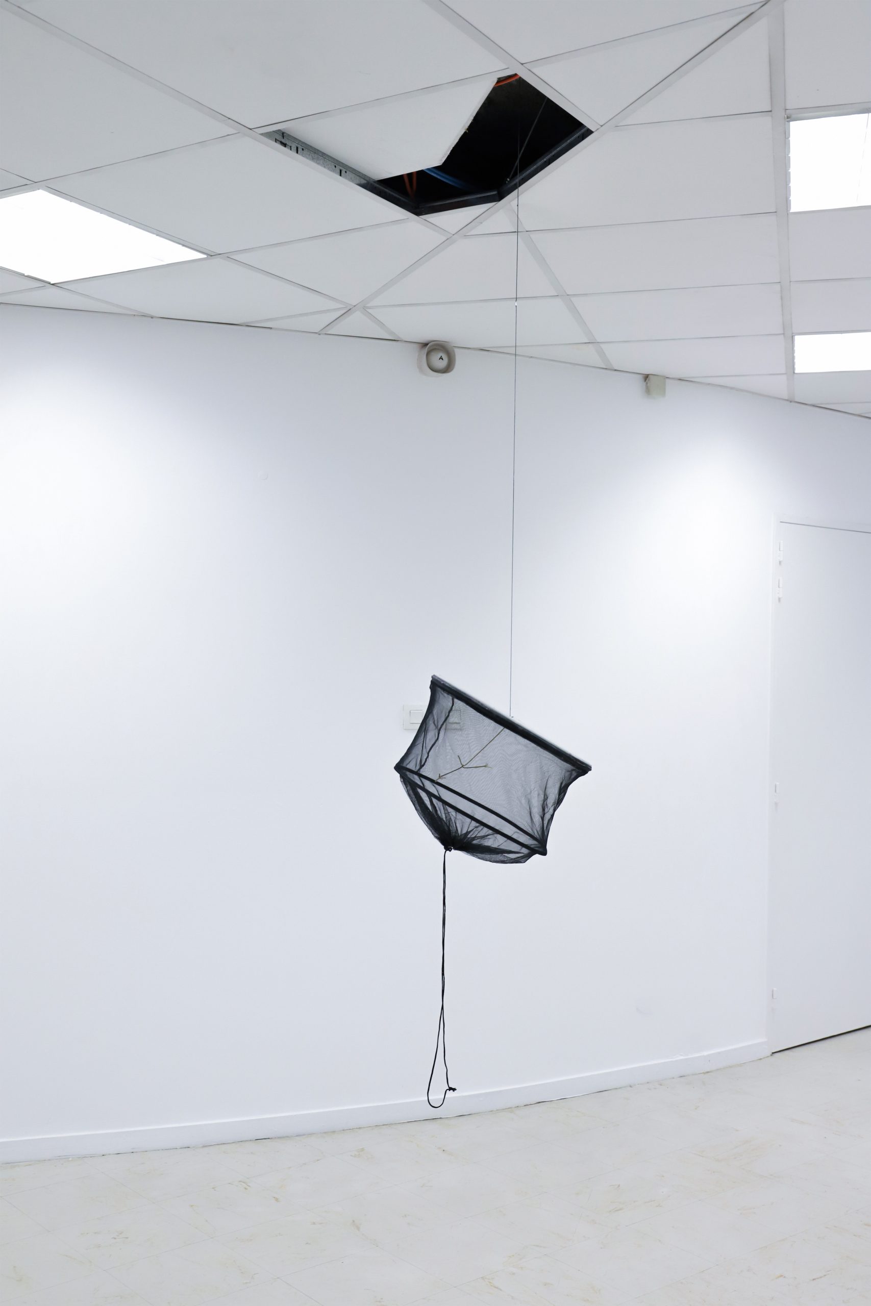 Antoine Dochniak, The Cage We Live In